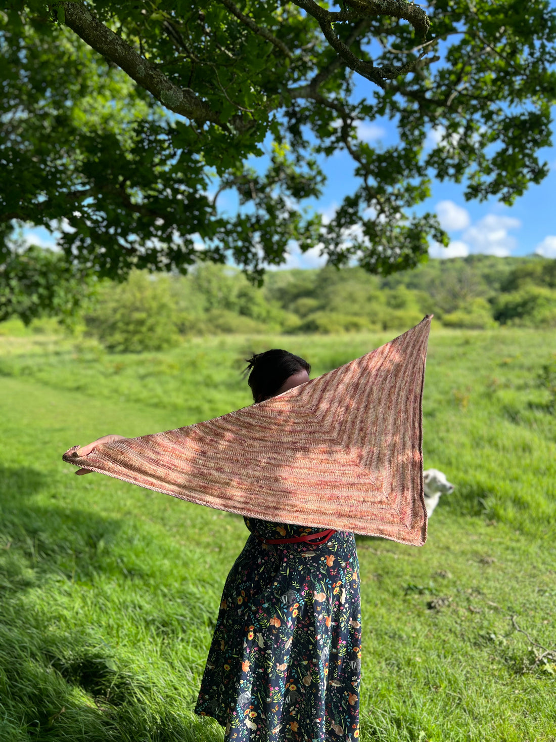 The Gwyn Shawl: A Beautiful Knitting Journey - FREE Pattern!